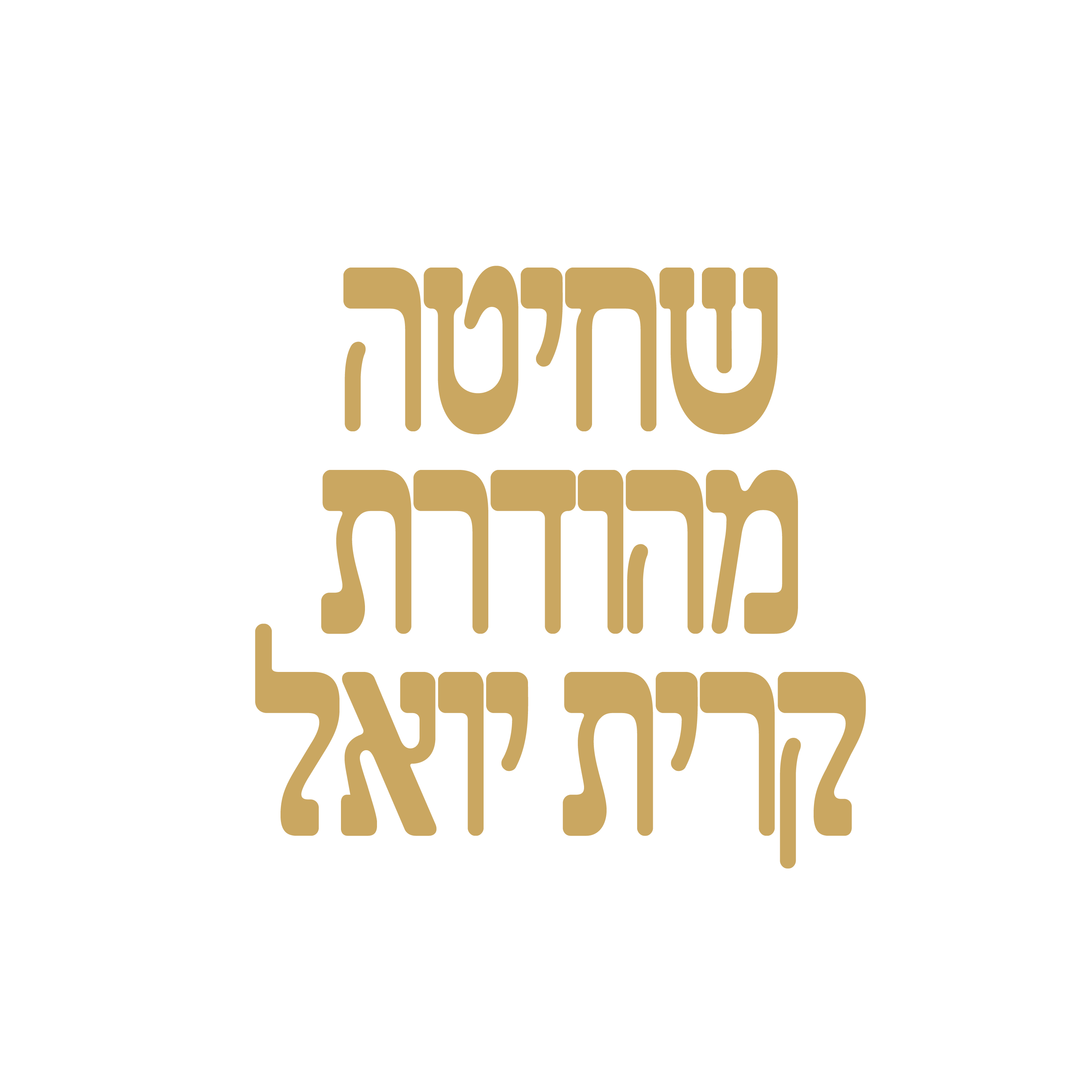 Satmar Meats of Boro Park